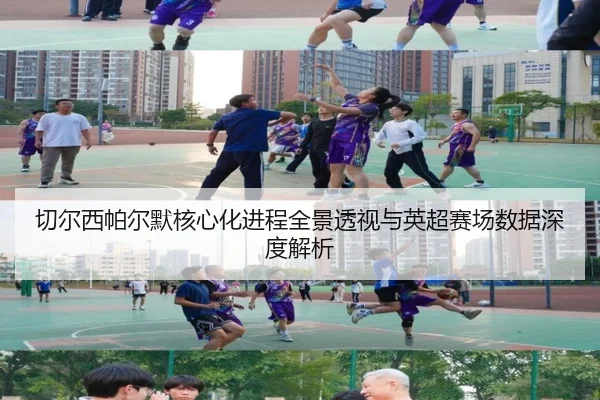 切尔西帕尔默核心化进程全景透视与英超赛场数据深度解析